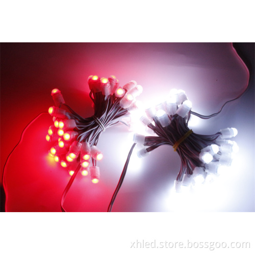 High Quality 50pcs/String 0.2W Waterproof IP67 Cold White SMD5050 LED Christmas Lights